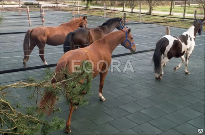 Маты из резиновой крошки для конюшни в Югорске